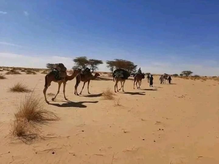 Riad Chorroq Merzouga Hotel Buitenkant foto